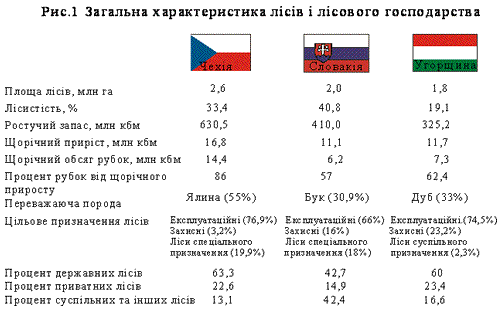 Загальна характеристика лісів і лісового господарства