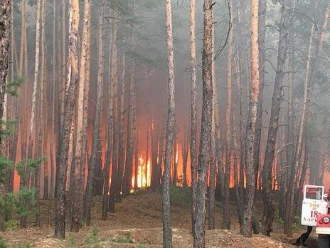 Схід у вогні. Лісова пожежа на Харківщині досягла рівня надзвичайної  ситуації. Зеленський зібрав термінову нараду (доповнюється) | Відкритий ліс