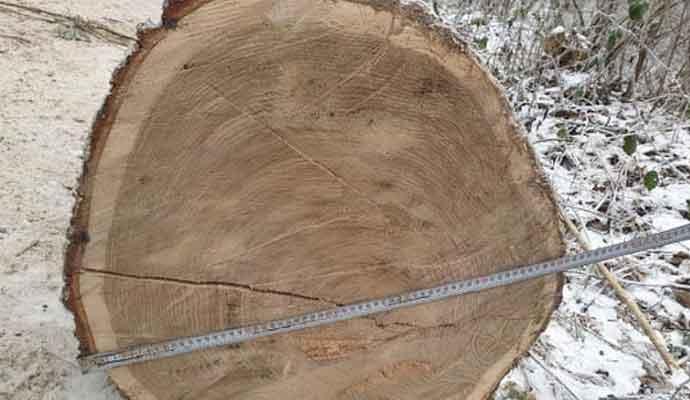 Це зображення має порожній атрибут alt; ім'я файлу 4259.jpg