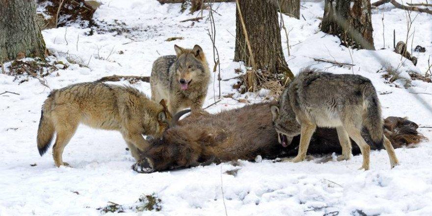 Це зображення має порожній атрибут alt; ім'я файлу iStock-459361251-880x440-1.jpg