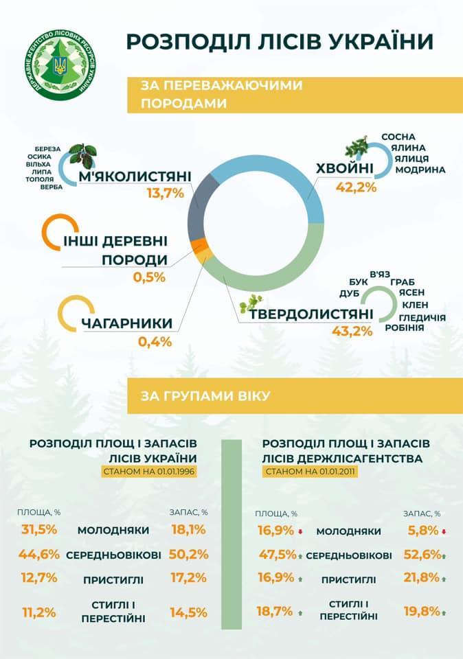 Це зображення має порожній атрибут alt; ім'я файлу 95854_n.jpg