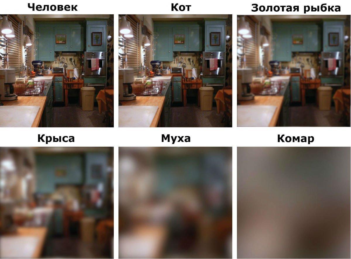 Це зображення має порожній атрибут alt; ім'я файлу o_1541491.jpg