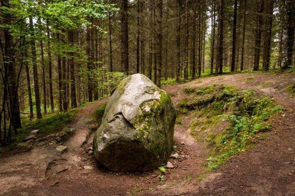 Це зображення має порожній атрибут alt; ім'я файлу images_lvm_jaunumi_2021_pokaini_jpg_1648035311_fit_600_400.jpg