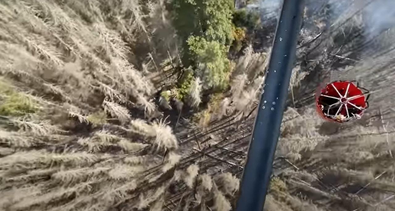 Це зображення має порожній атрибут alt; ім'я файлу Screenshot_11.jpg